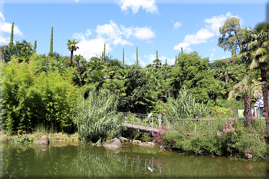 foto Giardini Trauttmansdorff - Giardini acquatici